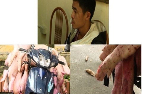 Bắt giữ chiếc xe chở gần 200kg thịt lợn thối bốc mùi