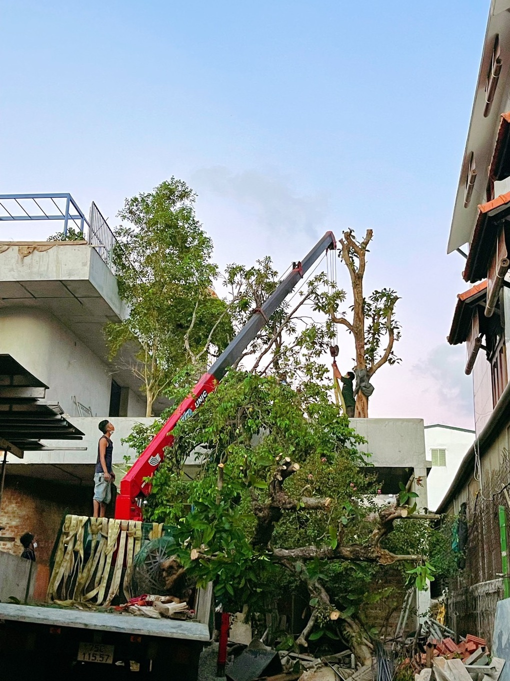 Ông bố khùng đưa bể bơi, vườn cây lên mái nhà 250m2 thay cho máy điều hòa - 4 Ông bố khùng đưa bể bơi, vườn cây lên mái nhà 250m2 thay cho máy điều hòa - 4