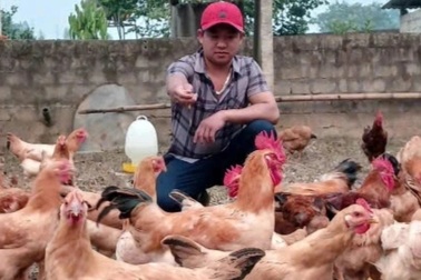 Cuộc gọi nhầm số dẫn tới hành trình đổi đời của đôi vợ chồng bỏ phố về quê
