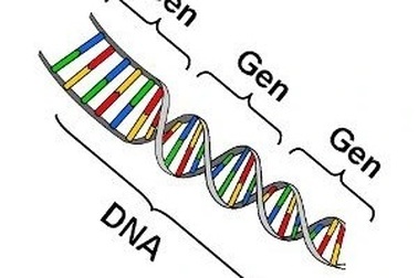 Sinh con với thầy lang khi chữa hiếm muộn: "Thông kinh mạch" hay cưỡng dâm?