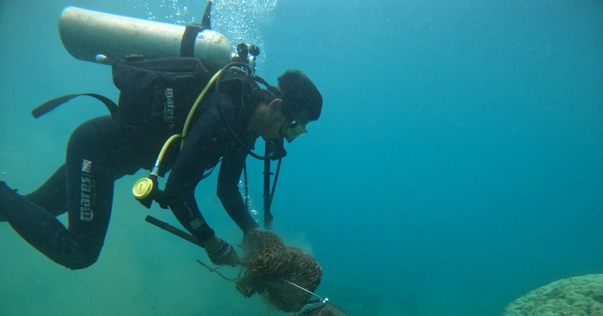 Gallery - 10 tác phẩm ấn tượng đoạt giải ở cuộc thi ảnh "Hành động vì đại dương xanh" | Báo Dân trí