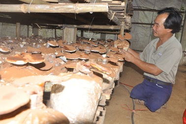 Gần nửa tỷ đồng hỗ trợ nạn nhân bom mìn cải thiện cuộc sống