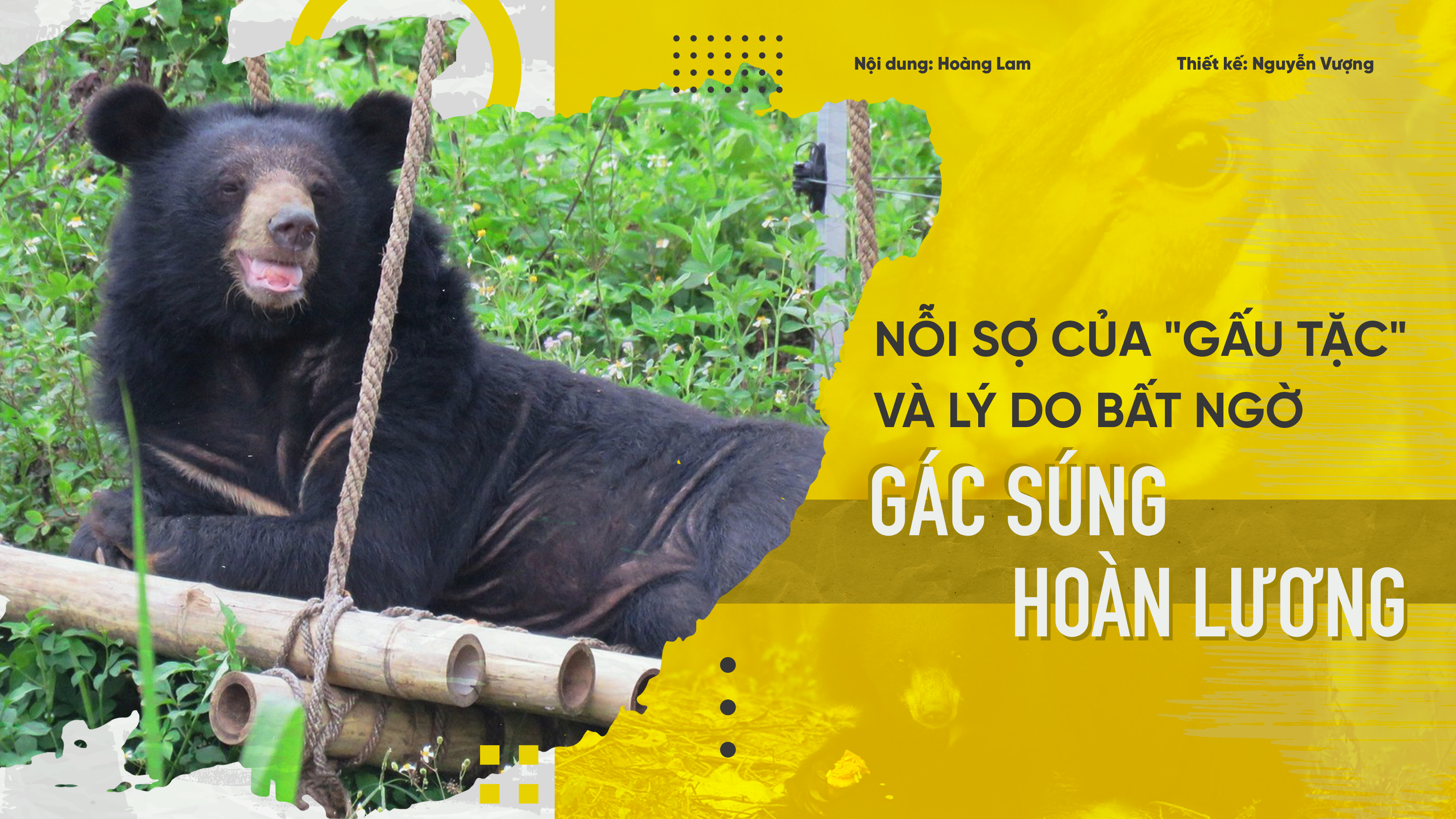 Nỗi sợ của "gấu tặc" và lý do bất ngờ gác súng hoàn lương