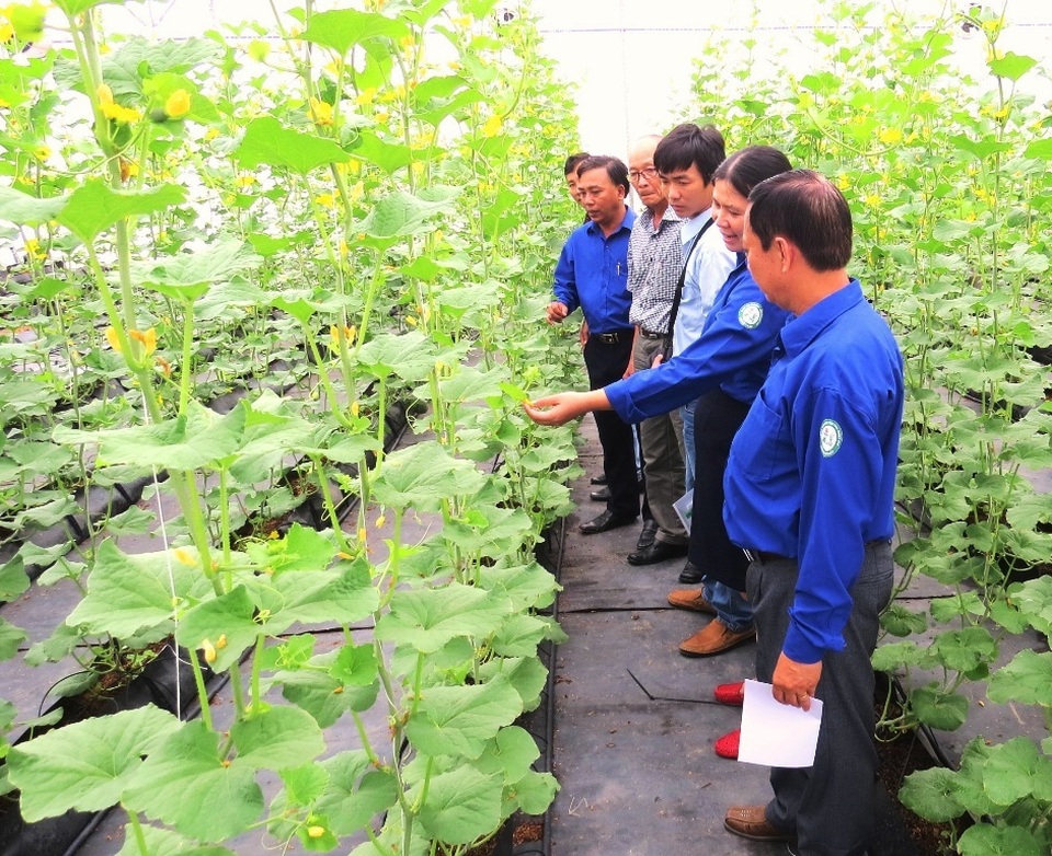 Đào tạo nhân lực cho ngành nông nghiệp công nghệ cao - 2 Đào tạo nhân lực cho ngành nông nghiệp công nghệ cao - 2