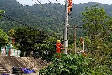 Điện trên đảo Cù Lao Chàm bị cúp bởi... sóc