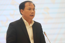 Tiết lộ kết quả ban đầu của tổ công tác gỡ khó cho bất động sản