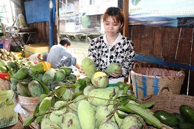 Ước mơ “lên bờ” của nữ hộ sinh duy nhất ở chợ nổi Cái Răng