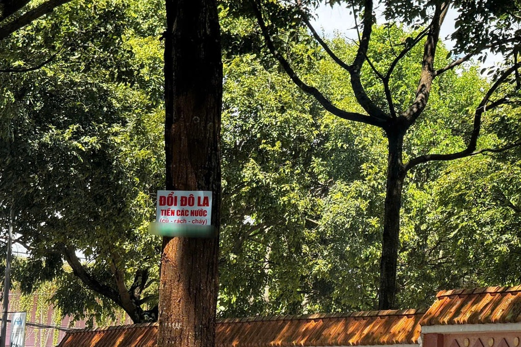 Xử phạt người đàn ông ngang nhiên thu đổi ngoại tệ trái phép - 1