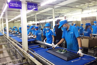 Asanzo đã trốn bao nhiêu tỷ đồng tiền thuế mà bị chuyển hồ sơ cho cảnh sát điều tra?