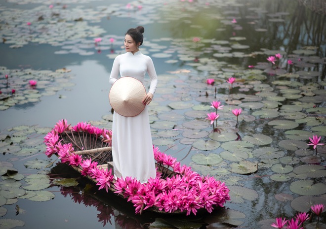 Mùa hoa súng suối Yến hút hồn du khách thập phương - 10 Mùa hoa súng suối Yến hút hồn du khách thập phương - 10