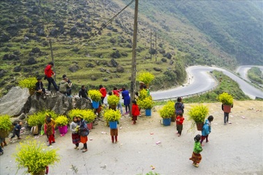 Công an xác minh thông tin bà Hoàng Hường gọi người cho thuê hoa là ăn xin