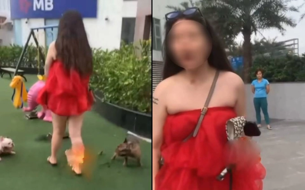 Để thú cưng phóng uế ở khu vui chơi trẻ em, cô gái cãi: Chó cũng như trẻ - 1 Để thú cưng phóng uế ở khu vui chơi trẻ em, cô gái cãi: Chó cũng như trẻ - 1