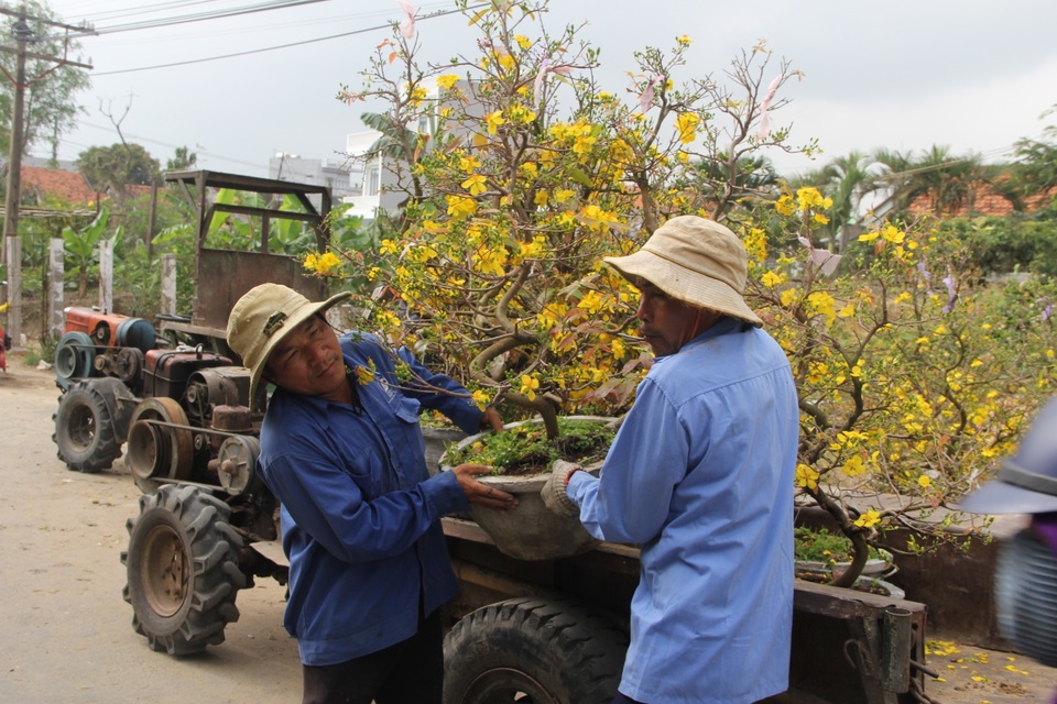 Phú Yên: Người lao động “còng lưng” kiếm tiền những ngày giáp Tết - 7 Phú Yên: Người lao động “còng lưng” kiếm tiền những ngày giáp Tết - 7