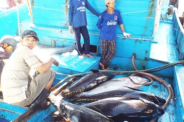 Thành lập 80 tổ, đội chuyên đánh bắt ở Hoàng Sa, Trường Sa