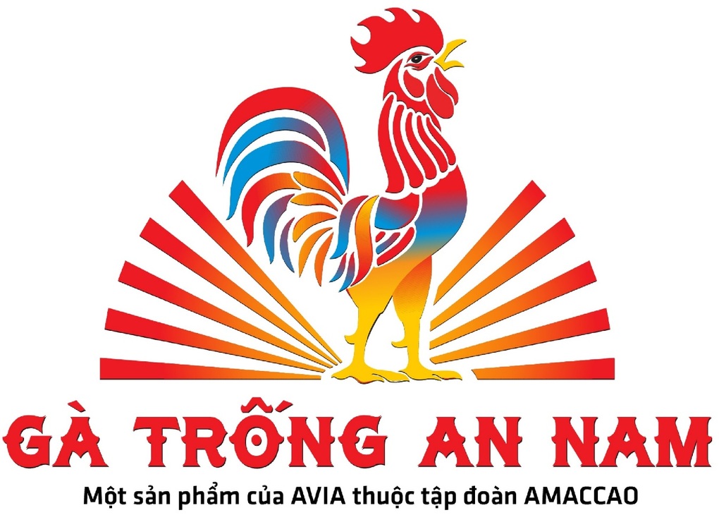 AVIA khoác áo mới, sẵn sàng bứt phá - 8 AVIA khoác áo mới, sẵn sàng bứt phá - 8