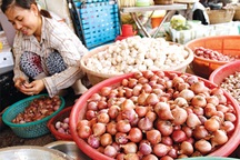 Rau củ quả né mác Trung Quốc