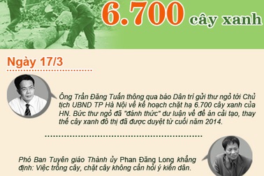 Toàn cảnh vụ chặt hạ cây xanh ở Hà Nội