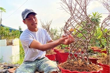 Chàng trai 8X và sản phẩm lộc bình mai "cháy hàng" dịp Tết Tân Sửu