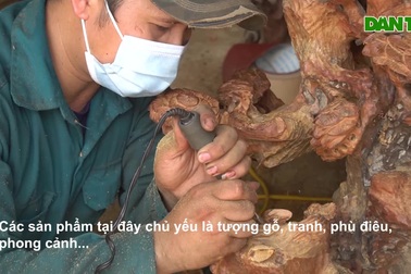 Biến những gốc cây tưởng chừng bỏ đi, thu về hàng chục triệu mỗi tháng