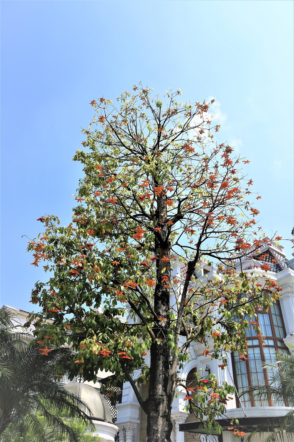 Ciputra Hanoi – “sống nghỉ dưỡng” trong lòng phố - 1 Ciputra Hanoi – “sống nghỉ dưỡng” trong lòng phố - 1