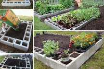 Mách bạn giải pháp trồng rau tại gia không cần thùng xốp