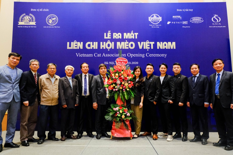 Cuộc “đọ sắc” đặc biệt của những chú mèo quý lần đầu tổ chức ở Hà Nội - 13 Cuộc “đọ sắc” đặc biệt của những chú mèo quý lần đầu tổ chức ở Hà Nội - 13