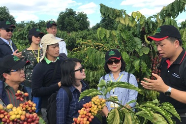 Một quốc gia chi số tiền gấp gần 35 lần để mua cà phê Việt