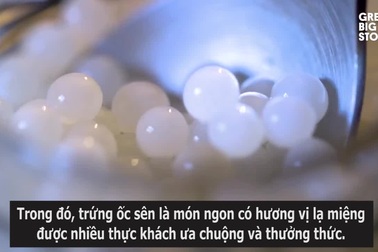 Đặc sản từ ốc sên được ví như "ngọc trai", giá bạc triệu vẫn "hút" khách