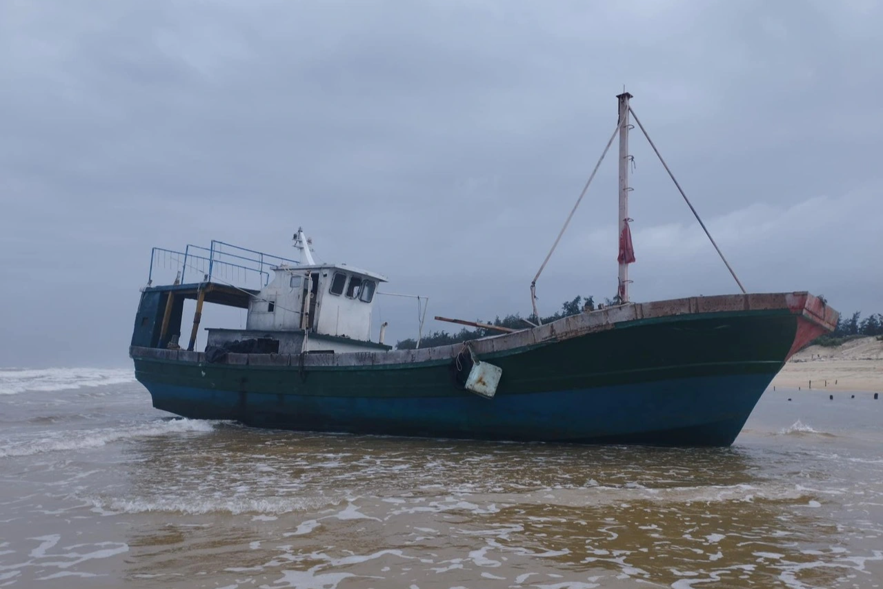 Bán đấu giá nhiều tàu ma trôi dạt vào bờ biển Quảng Trị - 2