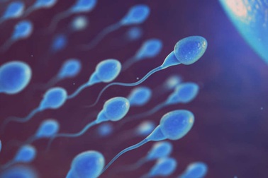 Sắp có thuốc ngừa thai cho nam giới đầu tiên trên thế giới