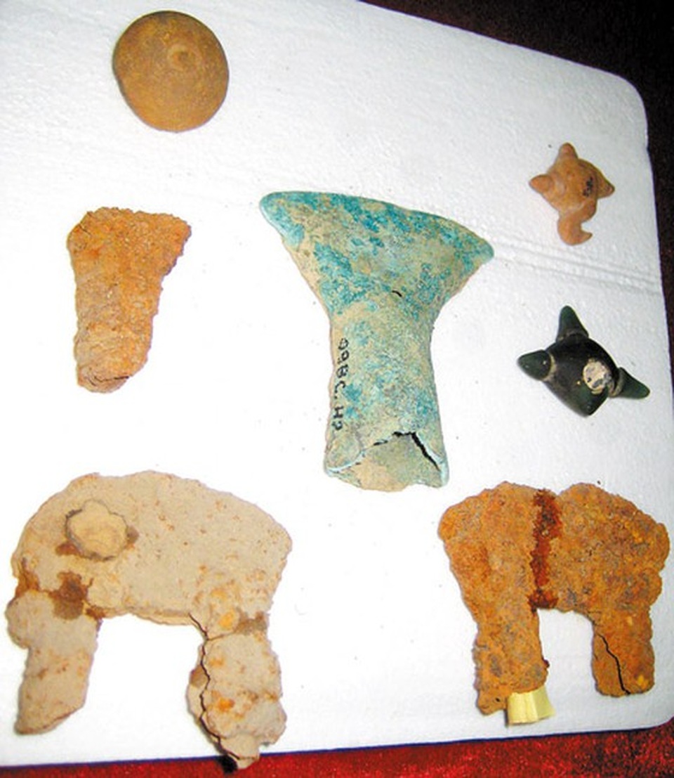 Hà Tĩnh: Di chỉ khảo cổ Quốc gia trở thành nơi đổ rác, chăn thả gia súc! - 1 Hà Tĩnh: Di chỉ khảo cổ Quốc gia trở thành nơi đổ rác, chăn thả gia súc! - 1
