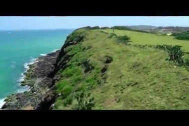 Trailer phim Tôi Thấy Hoa Vàng Trên Cỏ Xanh