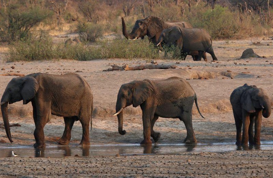Lo hệ lụy môi trường, Zimbabwe rút giấy phép khai mỏ của công ty Trung Quốc - 1 Lo hệ lụy môi trường, Zimbabwe rút giấy phép khai mỏ của công ty Trung Quốc - 1
