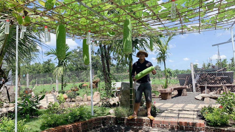 Dốc hết tiền tiết kiệm, 9X phố núi tậu đất, làm nhà vườn 3.000m2 đẹp mê - 14 Dốc hết tiền tiết kiệm, 9X phố núi tậu đất, làm nhà vườn 3.000m2 đẹp mê - 14