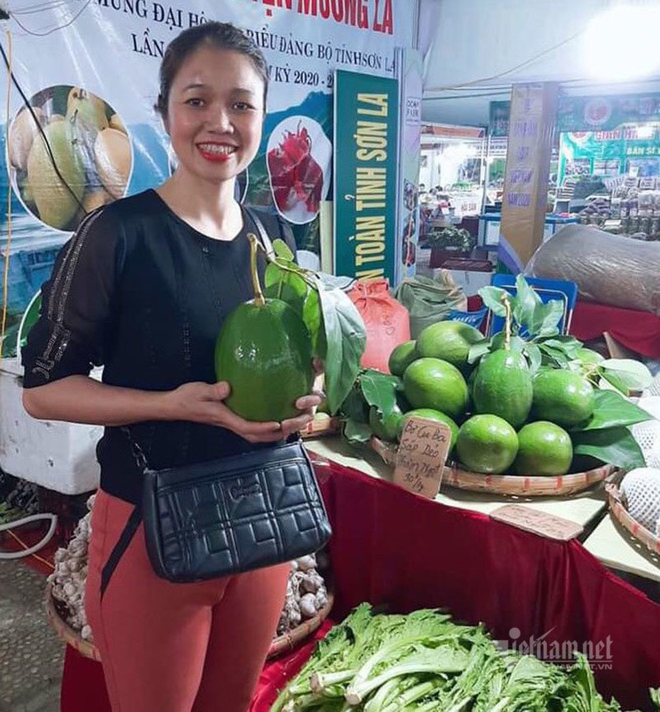 Quả bơ khổng lồ nặng 2 kg, hàng trên núi về gây sốt Hà thành - 8 Quả bơ khổng lồ nặng 2 kg, hàng trên núi về gây sốt Hà thành - 8