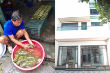 Vợ mất tích, ông bố Thanh Hóa nuôi 6 con, được báo hiếu căn nhà 2 tỷ đồng