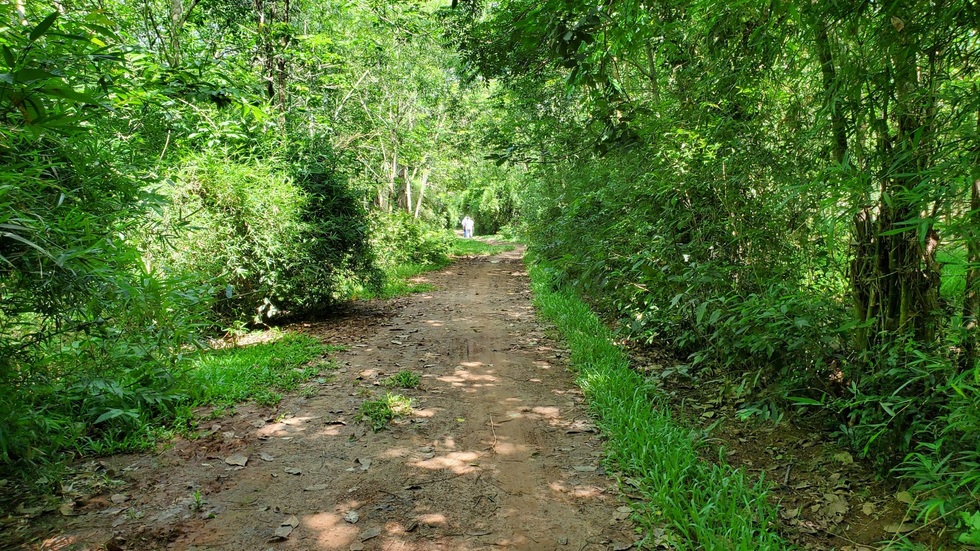 Kỳ lạ cặp giếng Mắt Rồng gần 500 năm tuổi chưa bao giờ cạn - 1