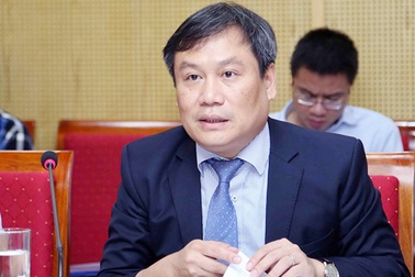 Thứ trưởng Bộ Kế hoạch: Có doanh nghiệp nước ngoài núp bóng mua cổ phần, đất đai Việt Nam