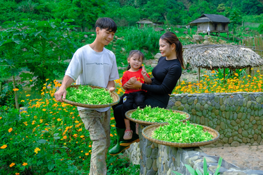 Bỏ Hà Nội về quê, vợ chồng công nhân đổi đời, thu nhập trăm triệu/tháng