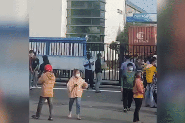 Hàng trăm người chen lấn, xô đẩy để nộp hồ sơ xin việc