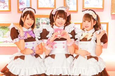 Cà phê hầu gái Nhật Bản - nơi bạn được phục vụ như những vị vua