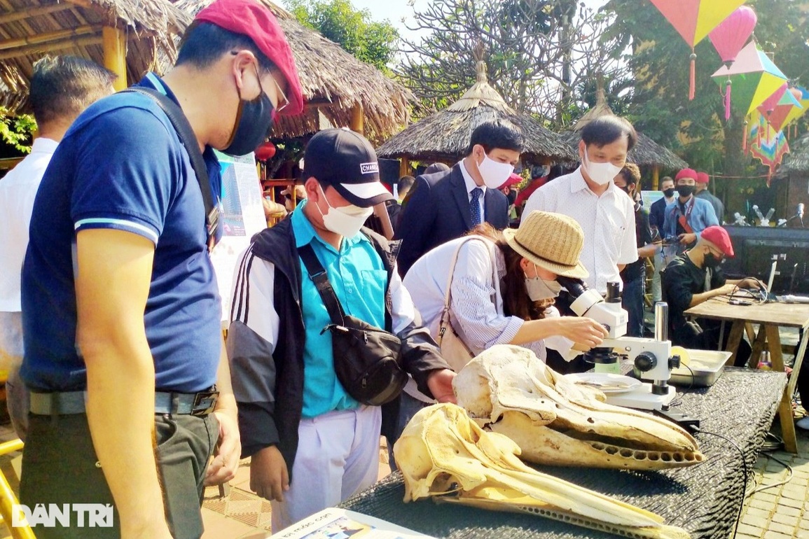 Nghệ thuật lên tiếng bảo vệ môi trường - 6 Nghệ thuật lên tiếng bảo vệ môi trường - 6