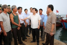 Lập đường dây nóng, truy tìm độc tố trong hải sản chết