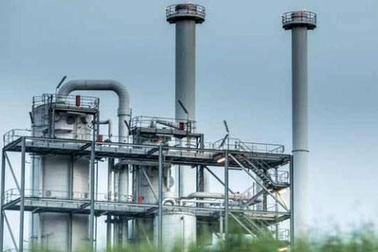 Công chiếu bộ phim "Vàng xanh" của Sergio Ghizzardi