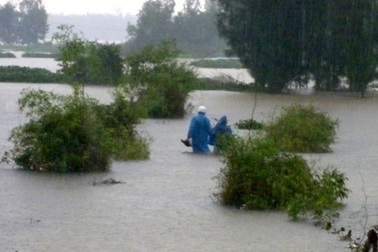 Đà Nẵng: Cứu 6 ngư dân bị nạn trên biển