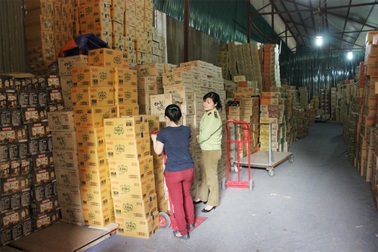 Hà Nội: Phát hiện hàng chục tấn bánh kẹo, mỹ phẩm…nghi hàng lậu