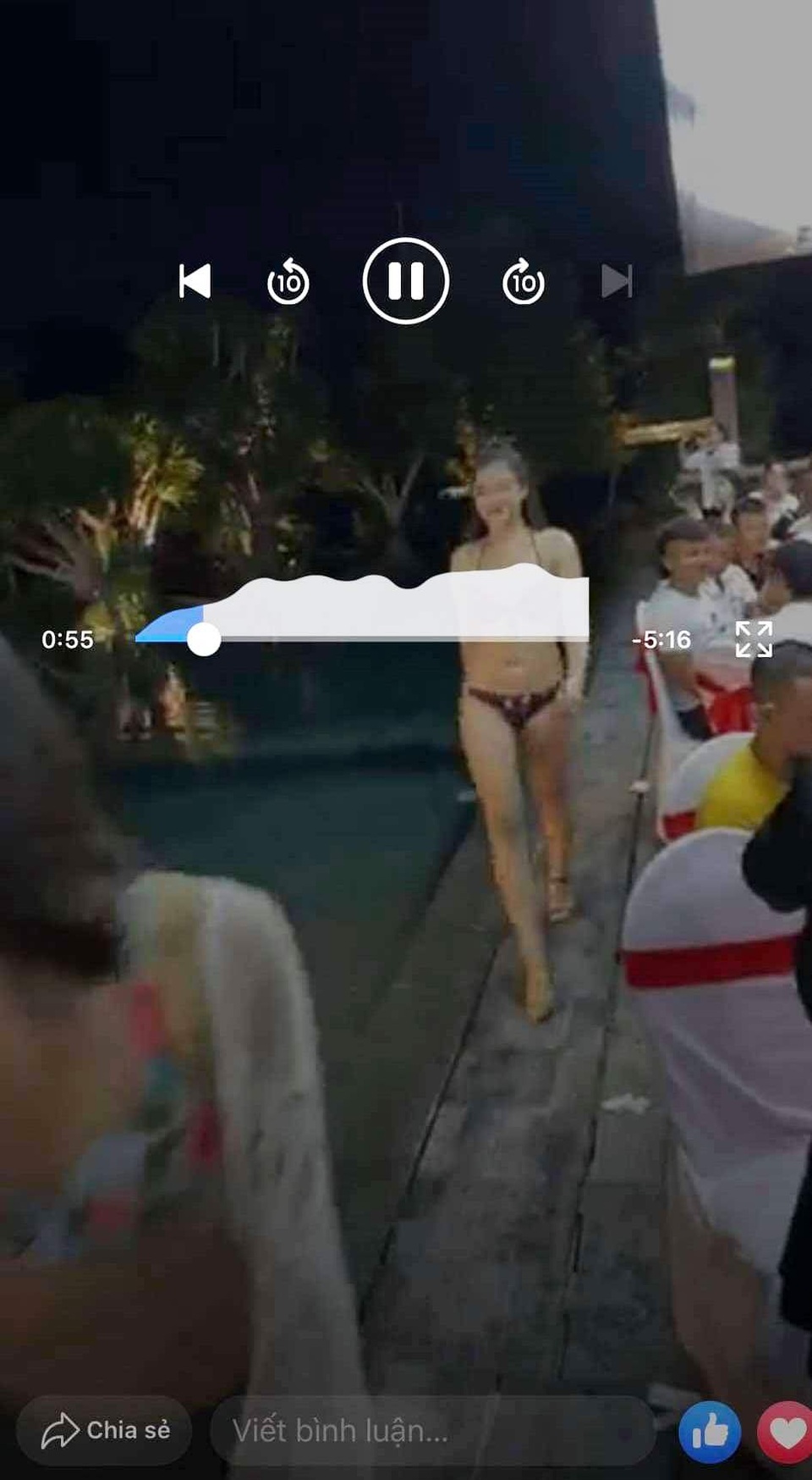 Mời mẫu mặc bikini, mua ma túy về cho khách chơi trong sinh nhật vợ - 1 Mời mẫu mặc bikini, mua ma túy về cho khách chơi trong sinh nhật vợ - 1