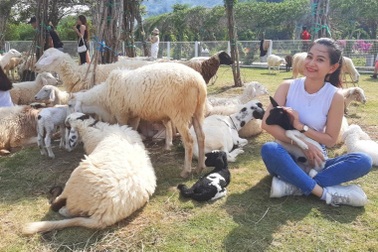 Bị "tố" tăng giá gấp đôi dịp Tết, giám đốc khu du lịch ở An Giang nói gì?