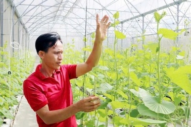 Thành phố Long Khánh đặt ra mục tiêu năm 2025 giảm 15% hộ nghèo