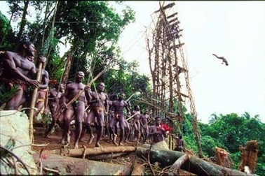 Video: Xem thổ dân nhảy Bungee